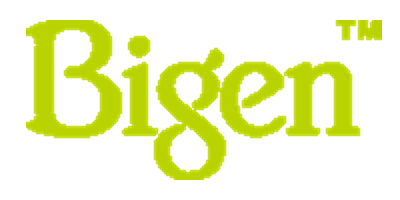 Bigen™ Logo